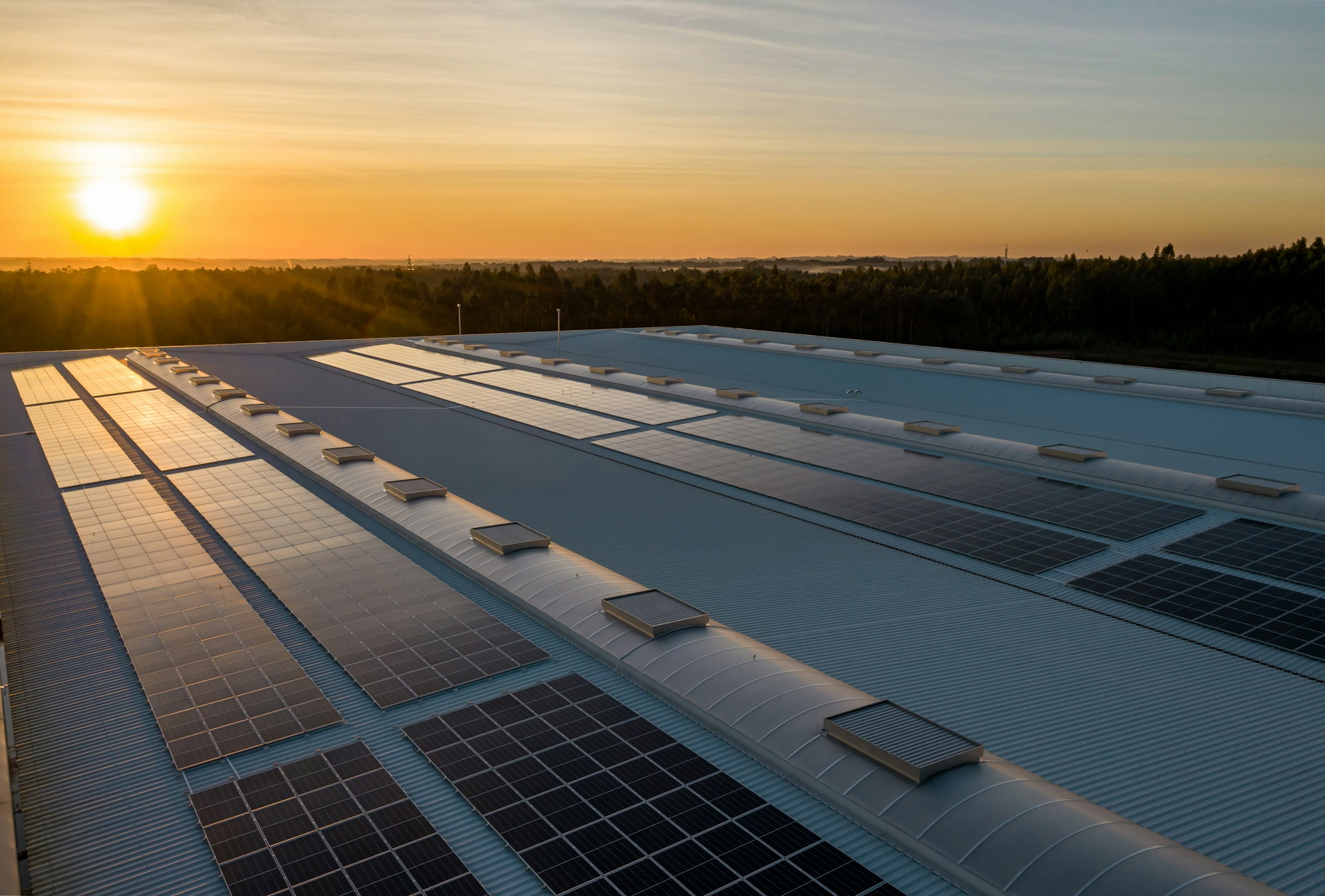black-and-white-solar-panels.jpg black and white solar panels